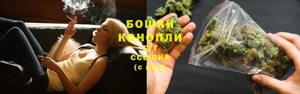 PSILOCYBIN Абаза