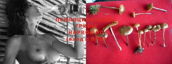 mix Зерноград