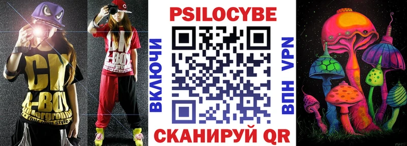 Галлюциногенные грибы Psilocybe Плавск